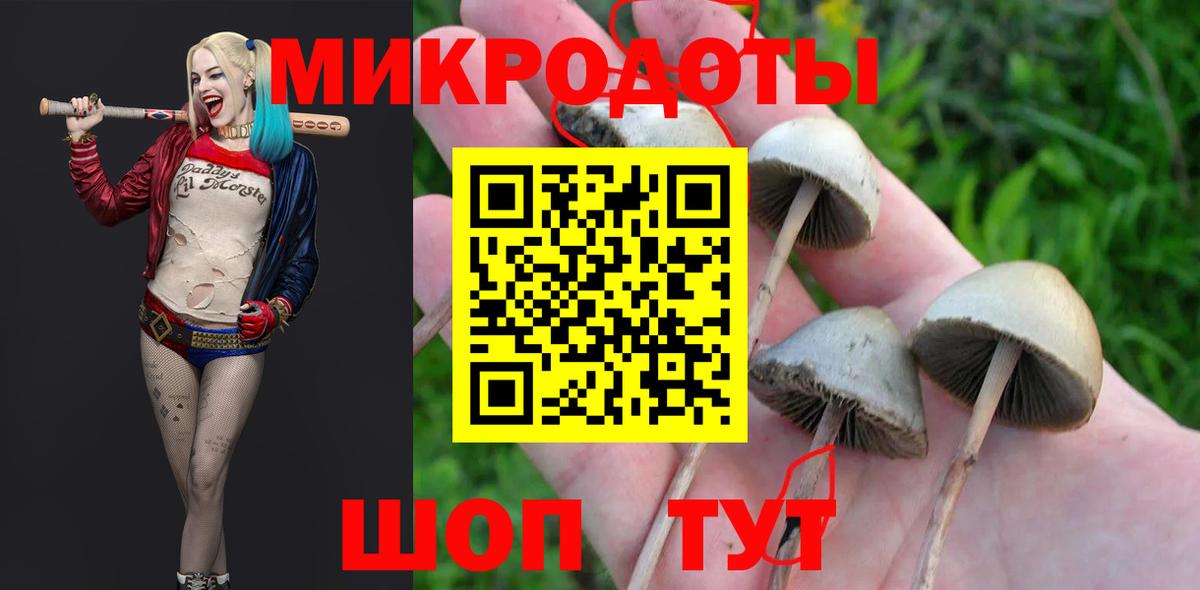 Галлюциногенные грибы MAGIC MUSHROOMS Бахчисарай