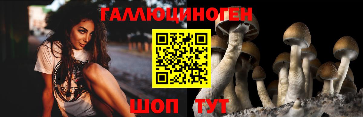 Бахчисарай  Галлюциногенные грибы мицелий  Вход с VPN 